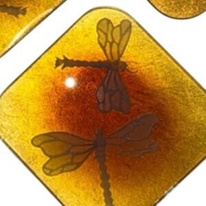 Dragonfly Fossil Amber Look Coasters 4 Texture Engraved glass? Insect Vintage